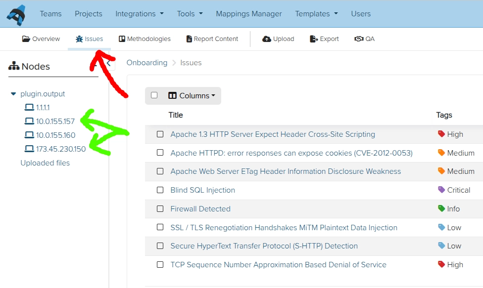 Screenshot of the Dradis Issues view